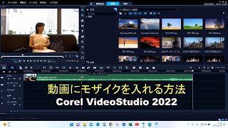 VideoStudio Ultimate 2022 動画編集 簡単にできるモザイク処理方法 モーショントラッキング [upl. by Ayota428]