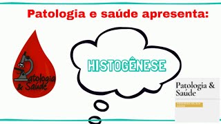 Histologia do tecido ósseo  Ossificação [upl. by Harlan]