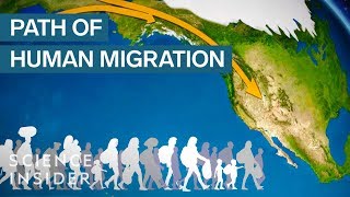 Map Shows How Humans Migrated Across The Globe [upl. by Ravens]