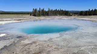 Opal Pool Midway Geyser Basin Yellowstone National Park USA [upl. by Aley]