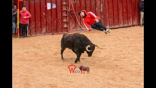 TORO DE LA ASOCIACION TAURINA DE CARABAÑA DICIEMBRE 2023 [upl. by Burley416]