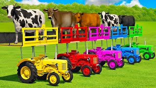 TRANSPORTING COWS amp COLORED TRACTORS WITH ZETOR amp MAN TRUCKS  Farming Simulator 22 [upl. by Ralina642]