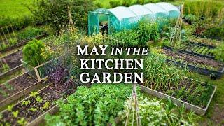 Abundant Permaculture Kitchen Garden Tour  NO DIG Gardening in May [upl. by Byrne]