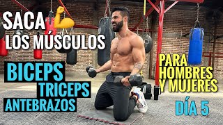 Ejercicios de BRAZOS entrena tus Bíceps Tríceps y Antebrazos 25 Min Rutina para SACAR LOS MUSCULOS [upl. by Enineg446]