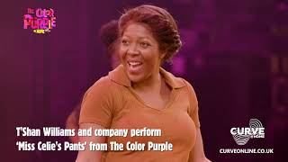 The Color Purple  at Home  TShan Williams and the company perform Miss Celies Pants [upl. by Spalding]