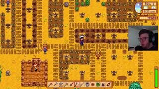 Contentment  Ned Finn Stardew Valley Stream 111624 [upl. by Januisz8]