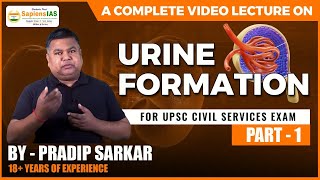 Urine Formation  How is Urine Formed  Mechanism of Urine Formation  By Pradip Sarkar  Part 1 [upl. by Longtin]