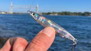 Can You Catch False Albacore at the Cape Cod Canal [upl. by Rabaj]