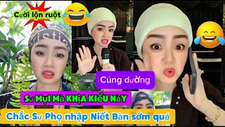 Cười lộn ruột ll Sư Mụi mà khịa kiểu này chắc Sư Phọ nhập Niết Bàn sớm quá [upl. by Gall]