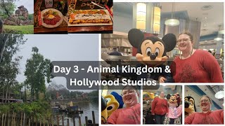 Day 3  Animal Kingdom and Hollywood Studios  My Disney College Program Experience [upl. by Charron]