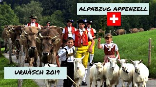 Alpabzug im Appenzell Urnäsch 14092019 🇨🇭 [upl. by Hiett]