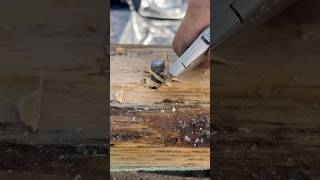 Precision at its finest construction framing hardwork trending asmr [upl. by Dragon465]