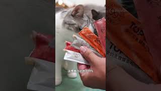 把猫条当主食吃，是不是也头一次听说啊 猫条 萌宠好物 [upl. by Bradski468]