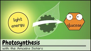 Photosynthesis UPDATED [upl. by Alhahs304]