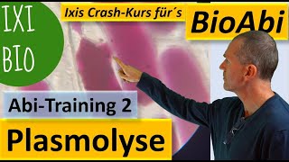 Plasmolyse und Deplasmolyse im Experiment  Training 2 Abitur Biologie  Praktischer Teil [upl. by Joby]