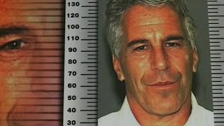 Jeffrey Epstein suicide blamed on jail guard negligence and misconduct watchdog [upl. by Nogem975]