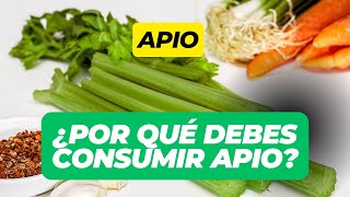 Apio Descubre Sus Beneficios y Por Qué Deberías Incluirlo en Tu Dieta [upl. by Jea]