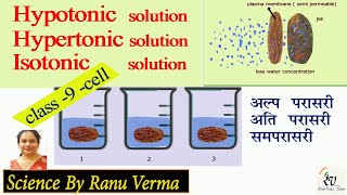 Hypertonic  hypotonic and Isotonic solution  Class 9th CBSE  Science by Ranu [upl. by Dempstor824]