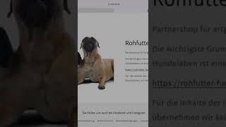 Produkttest Hundegeschirr Leckerli Tasche und Hundeschal von Lida Vel Hundezubehör NaturalCare69 [upl. by Ner]