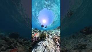 How To Go To Manta Snorkeling at Hanifaru Bay [upl. by Huldah]