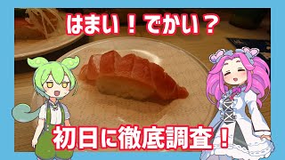 【はま寿司】10月16日スタート！ でかい！はまい！本当にでかい？はまい？潜入調査してきました！【ずんだもん】 [upl. by Nylisoj]