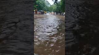 Nungambakkam rainfall rainwater cyclone rain water chennai weather [upl. by Yrellih]