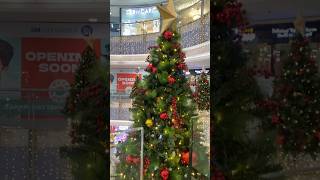 Ngayong Pasko magnining ang Christmas tree christmas2024 abscbn2010CSID [upl. by Anilrac737]