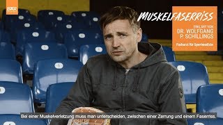 Muskelfaserriss erkennen und behandeln  Sportverletzungen erklärt von Dr Wolfgang Schillings [upl. by Adrianne]