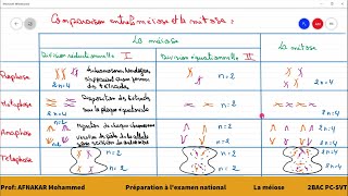 1  Comparaison entre la méiose et la mitose 2BAC PCSVT [upl. by Ferrel597]