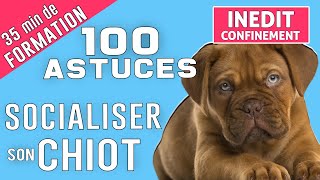 SOCIALISER son CHIOT en 100 ASTUCES [upl. by Noitsirhc]