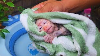 Evening Bathing Time Enjoy Day With My Milk [upl. by Marduk]