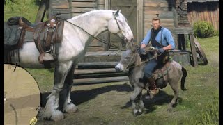 RDR2 All Horse Breeds Size Comparison  Biggest to Smallest Ranking [upl. by Leonard402]