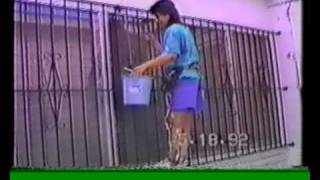 complete paraplegic using Parastep electrical stimulation climbs wall [upl. by Ellenij668]