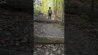 Autumn trail review  Carbide Wilson and Meech Lake Falls Trail  Gatineau Park [upl. by Ogdon]