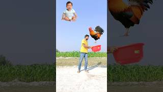 Flying rooster crying baby rabbit duck catching amp eating Parle g vs Roller tractor scooter 🙁 [upl. by Hunter]