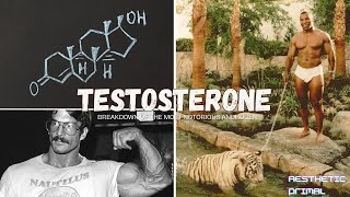 Understanding the intricacies of Testosterone masculinize yourself [upl. by Waligore665]