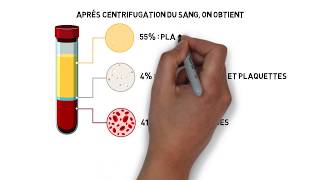 Milieu intérieur Part 02  Les compartiments liquidiens de lorganisme [upl. by Barhos967]