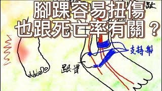 登山健行的健康知識～9，平衡能力 [upl. by Okorih]