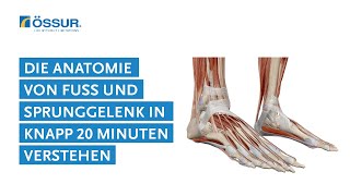 Für OrthopädietechnikerInnen in knapp 20 Minuten die Anatomie von Fuß und Sprunggelenk verstehen [upl. by Eilojne]