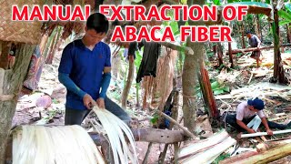 Abaca Fiber Manual Extraction  Process in Catanduanes [upl. by Lamej]