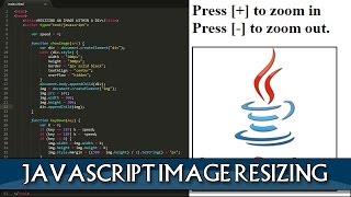 JAVASCRIPT Image zooming within a div [upl. by Aleirbag607]