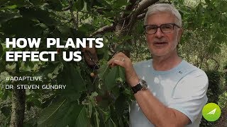 How Plants Effect Us — Dr Steven Gundry [upl. by Retsof]