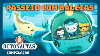 Octonautas  🤿 Passeio com Baleias 🐋  Dia Mundial da Baleia  Compilação  Episódios inteiros [upl. by Neitsirhc]