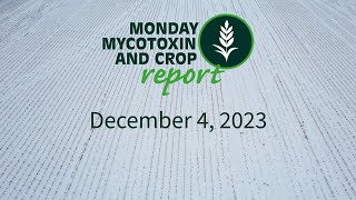 Monday Mycotoxin and Crop Report for December 4 2023 [upl. by Belia880]