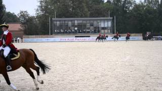 Hengstparade Moritzburg 13092014 Große Dressurquadrille mit 25 Warmbluthengsten [upl. by Sochor339]