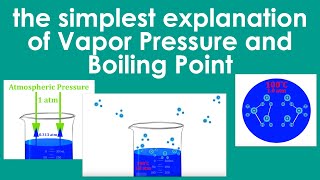 Simplest Way To Understand Boiling Point amp Vapor Pressure [upl. by Enyaz]