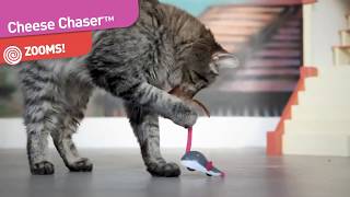 Petlinks® Cheese Chaser™ electronic cat toy [upl. by Curhan]