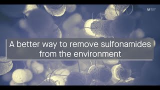 A better bioaugmentation method for removing sulfamethoxazole from the environment [upl. by Ahsuoj]