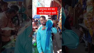 মানুষের মতো বড় পাখি মিরপুর হাটে  পাখি  Pakhi  মিরপুর ১ পাখির হাট  টিয়া পাখি  Tiya Pakhi short [upl. by Clough]