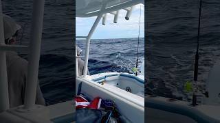 EPIC SAILFISH JUMPING fishing tarpon sailfish offshorefishing florida [upl. by Liuqa]